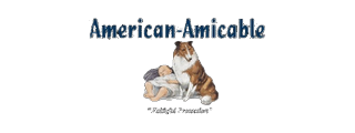 American Amicable